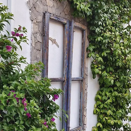 Moro House * Milna (Brac)