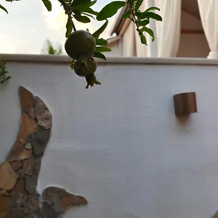 Moro House * Milna (Brac)